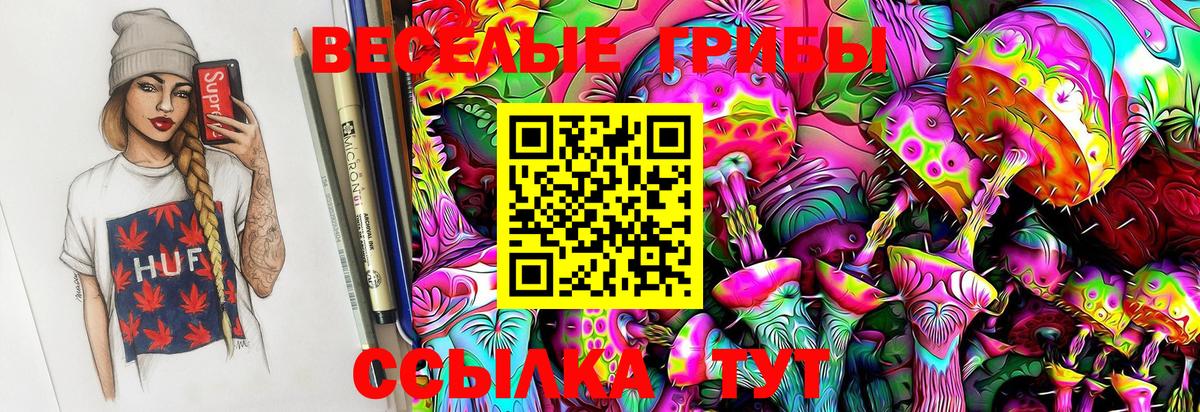 Псилоцибиновые грибы мицелий  Галлюциногенные грибы GOLDEN TEACHER  Вход с VPN  Ипатово 